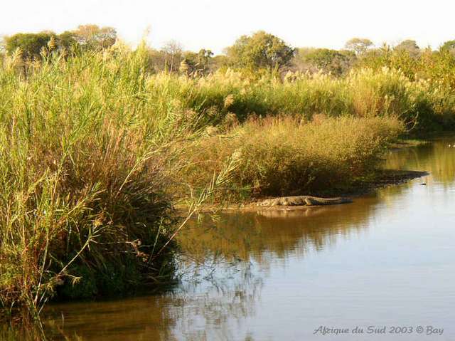 022kruger