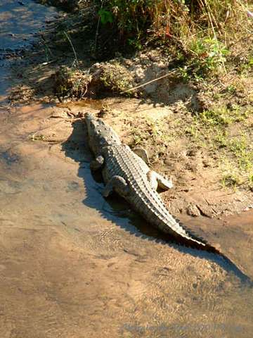 023kruger