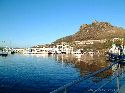 cliquez ici pour voir l'image (018otaries.jpg)