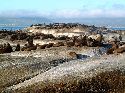 cliquez ici pour voir l'image (021otaries.jpg)