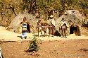cliquez ici pour voir l'image (013ndebele.jpg)