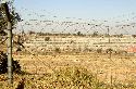 cliquez ici pour voir l'image (001soweto.jpg)