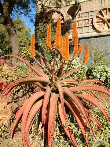 012pretoria