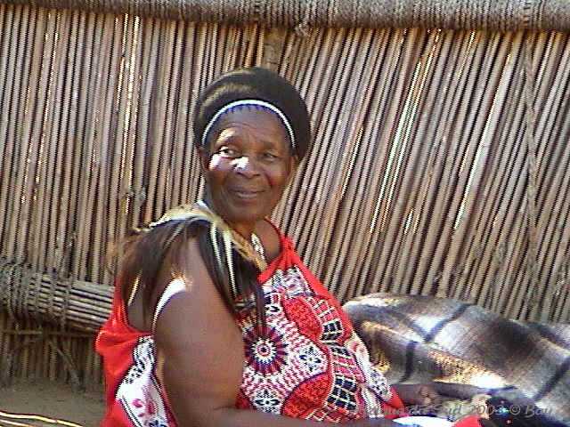 003villageswazi