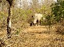 cliquez ici pour voir l'image (008mkhaya.jpg)