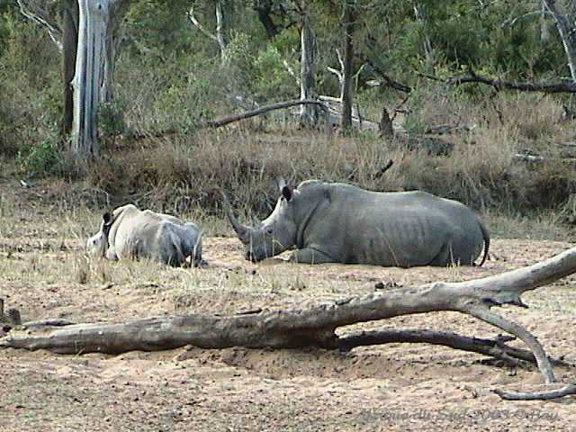 030mkhaya