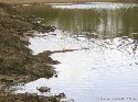 cliquez ici pour voir l'image (032mkhaya.jpg)