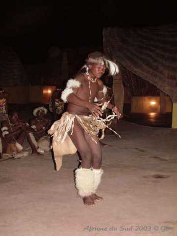 003zulunyala