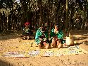 cliquez ici pour voir l'image (016zoulou.jpg)