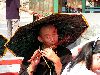 Cliquez ici pour voir l'image (pict1785.jpg)