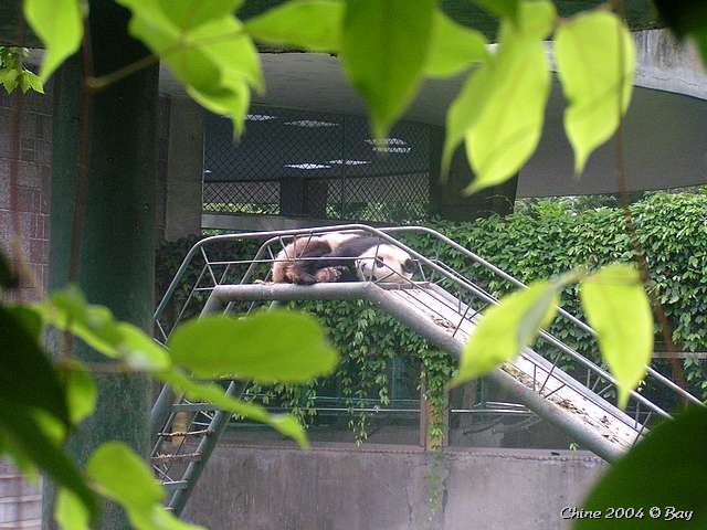 pict2817