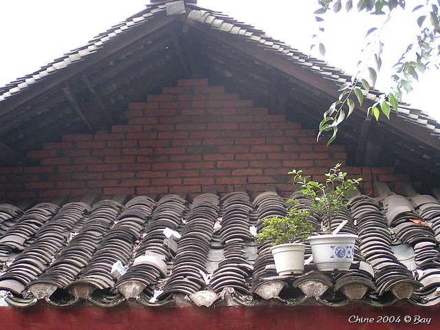 pict2854