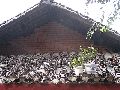 Cliquez ici pour voir l'image (pict2854.jpg)