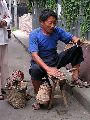 Cliquez ici pour voir l'image (pict2867.jpg)