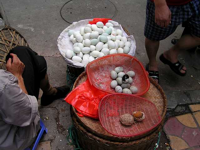 pict2350
