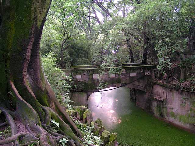 pict2376