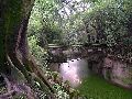 Cliquez ici pour voir l'image (pict2376.jpg)