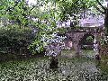 Cliquez ici pour voir l'image (pict2379.jpg)