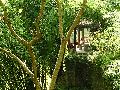 Cliquez ici pour voir l'image (pict2460.jpg)