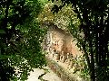 Cliquez ici pour voir l'image (pict2469.jpg)