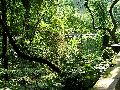 Cliquez ici pour voir l'image (pict2481.jpg)