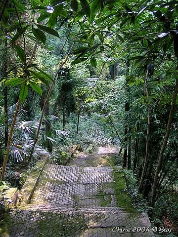 pict2507