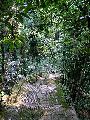 Cliquez ici pour voir l'image (pict2507.jpg)
