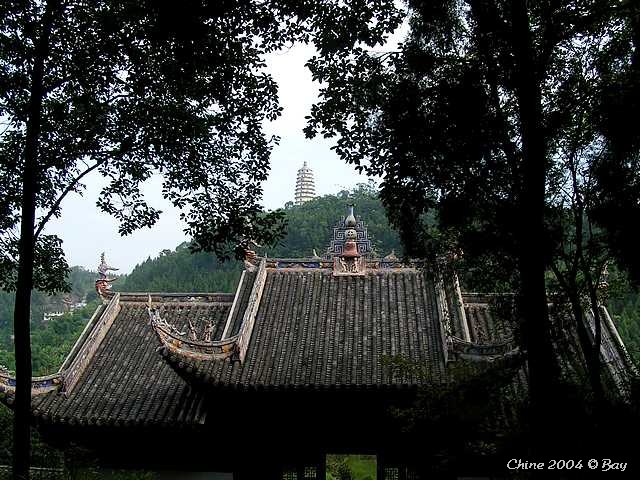 pict2554