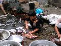 Cliquez ici pour voir l'image (pict2663.jpg)