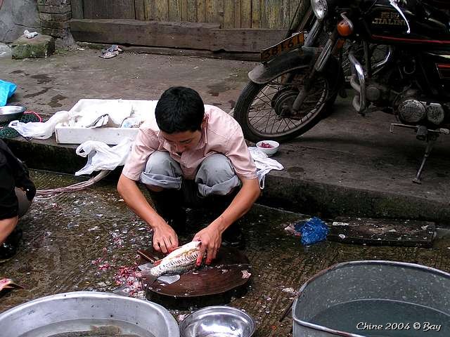 pict2664