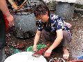 Cliquez ici pour voir l'image (pict2666.jpg)