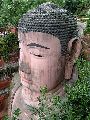 Cliquez ici pour voir l'image (pict2742.jpg)