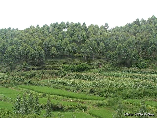 pict2770