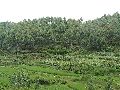 Cliquez ici pour voir l'image (pict2770.jpg)