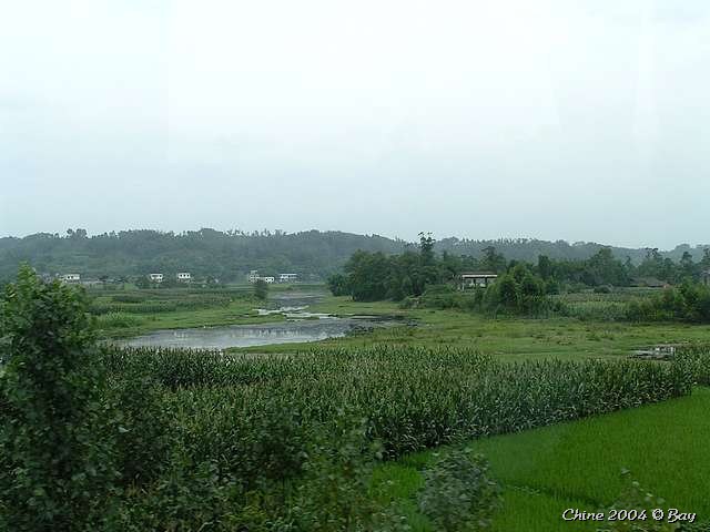 pict2776