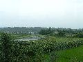 Cliquez ici pour voir l'image (pict2776.jpg)