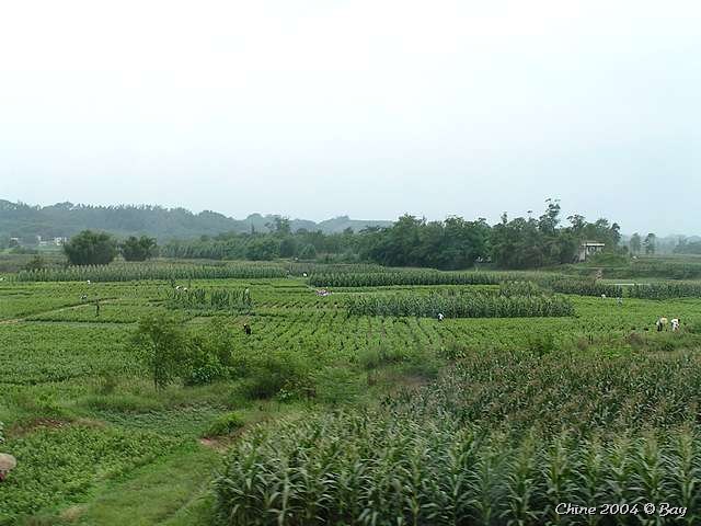 pict2779
