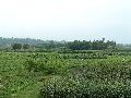 Cliquez ici pour voir l'image (pict2779.jpg)