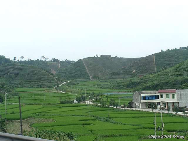 pict2784
