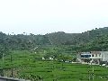 Cliquez ici pour voir l'image (pict2784.jpg)