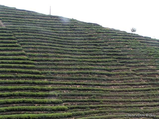 pict2786