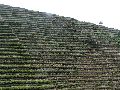 Cliquez ici pour voir l'image (pict2786.jpg)