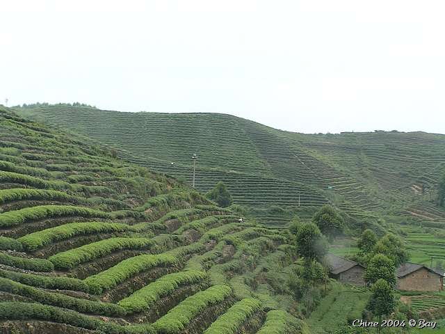 pict2787