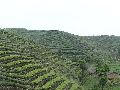 Cliquez ici pour voir l'image (pict2787.jpg)