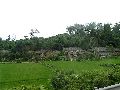 Cliquez ici pour voir l'image (pict2789.jpg)