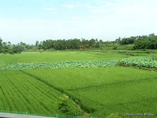 pict2790