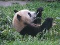 Chengdu