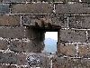 Cliquez ici pour voir l'image (pict1648.jpg)