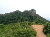 Cliquez ici pour voir l'image (pict1661.jpg)