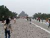 Cliquez ici pour voir l'image (pict1238.jpg)